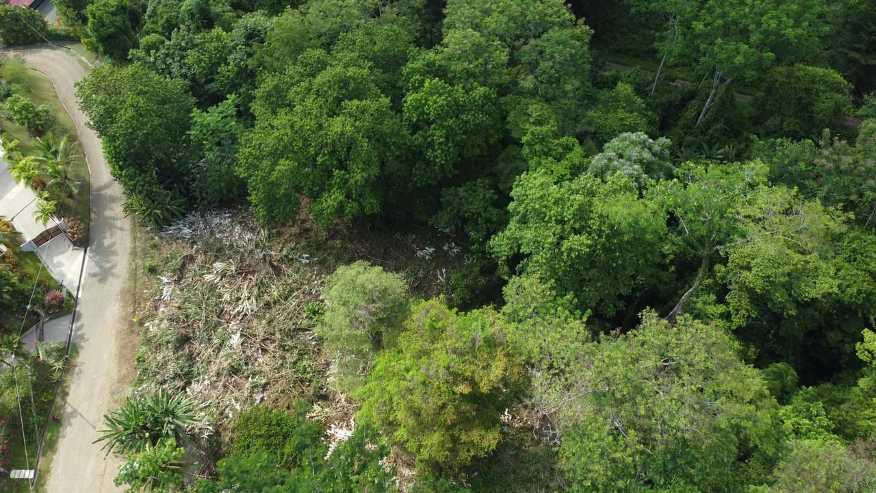 Ojochal - 1 Acre Ready To Build Jungle Lot, Ocean Breezes in Wildlife Corridore - photo 6