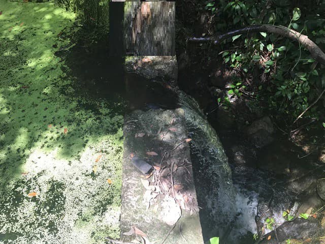 Large Development Land for Sale in Liberia, Guanacaste, Costa Rica - photo 18