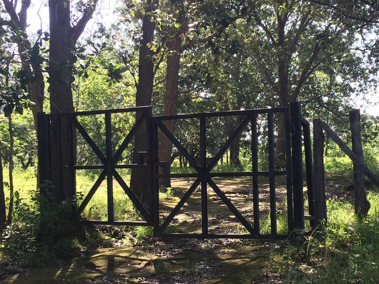 Finca de 31 hectáreas en Liberia: Great investment opportunity
