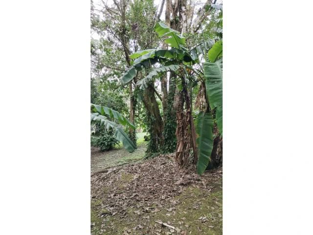 Countryside, Lakefront and Mountain House For Sale in Arenal - photo 14