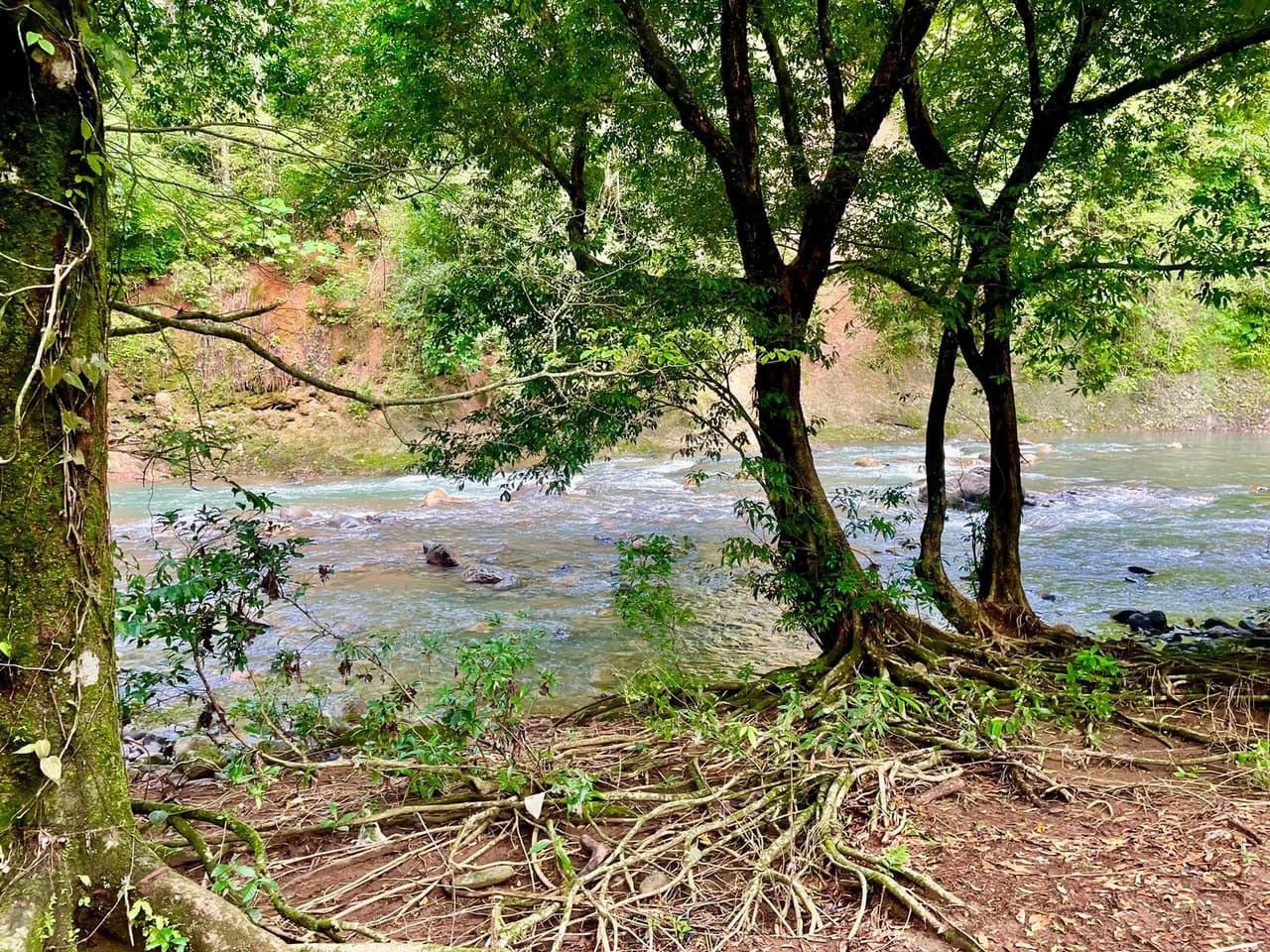 Property for Sale for Tourism Development with River in Orotina Alajuela Costa Rica - photo 9