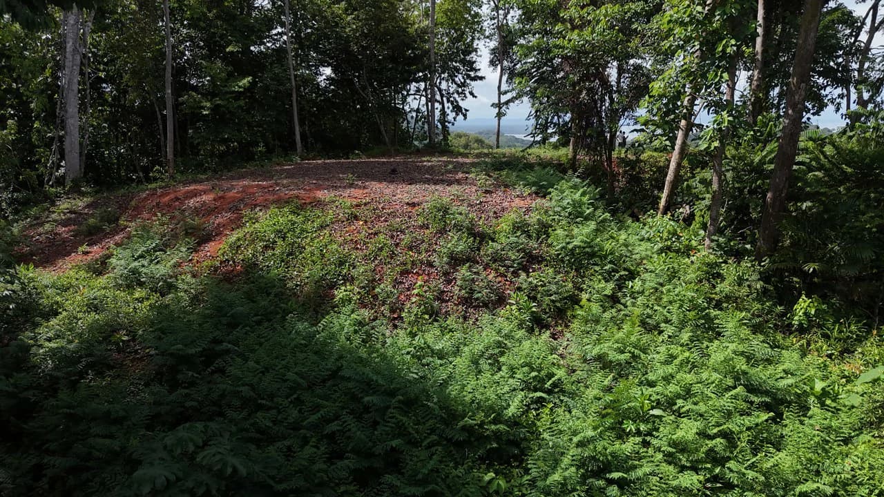 Spectacular Ocean view on 7.7 acres: Mountain Home Construction Site For Sale in Bahía Ballena - photo 8