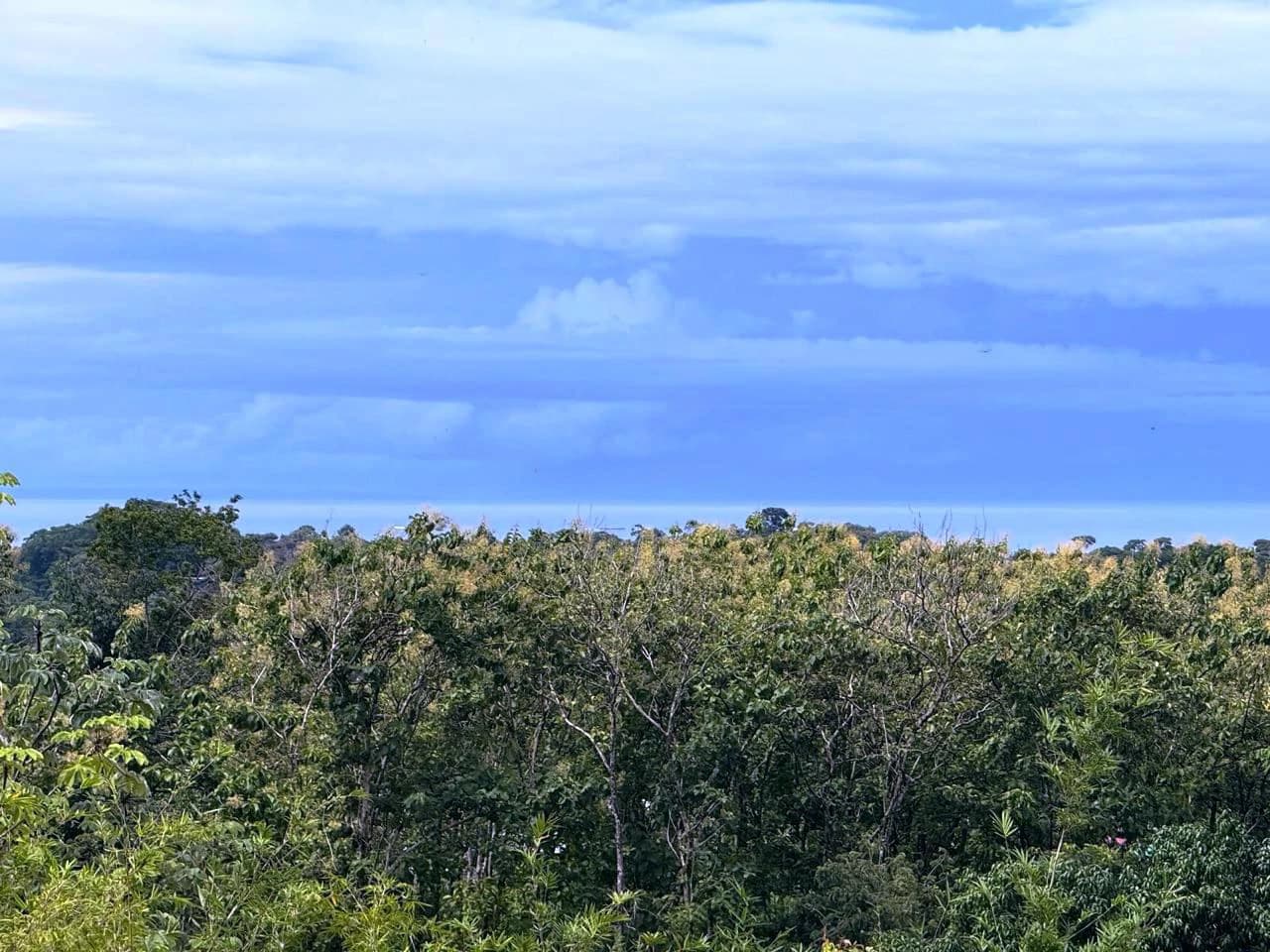 Prime Ocean View Development Property in Downtown Uvita - photo 13