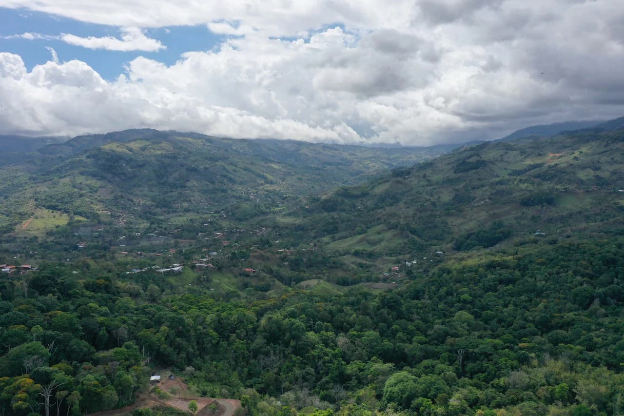 Elevated Two and a Half Acres with Cool Breeze in San Isidro del General - photo 23