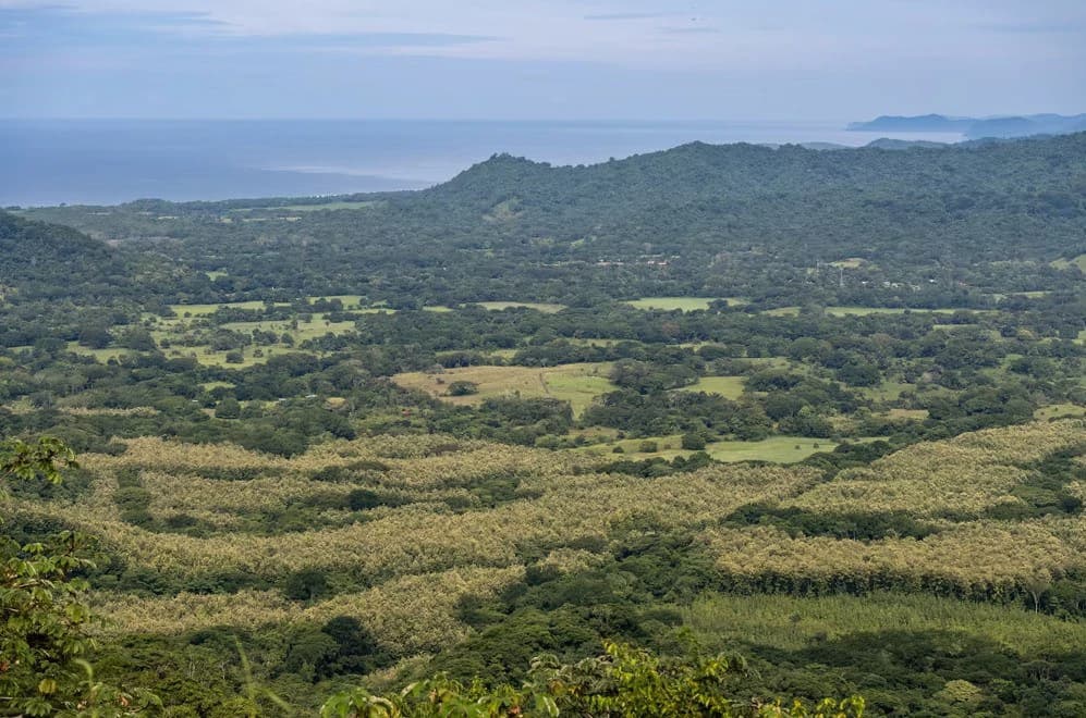 Ocean View Farm for Sale Guanacaste Costa Rica Playa Coyote - photo 10
