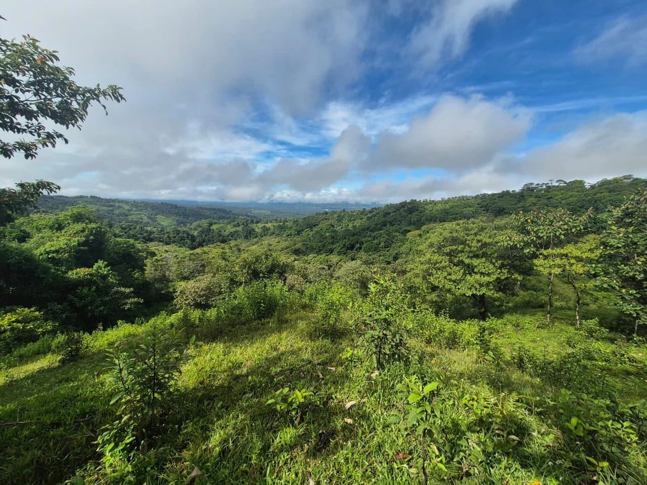 Propiedad en San Blas: Mountain Agricultural Land For Sale in La Linda General Viejo - photo 11