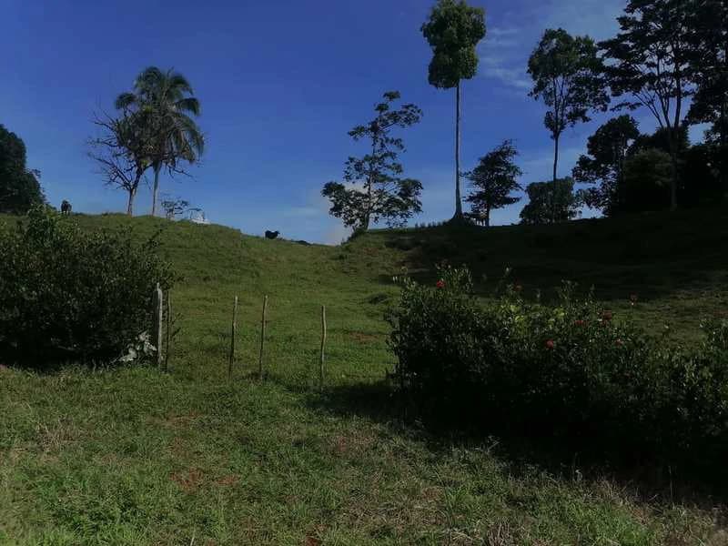 69.16 Acres Property | Mountain & Top Ocean View with Small Home - photo 28