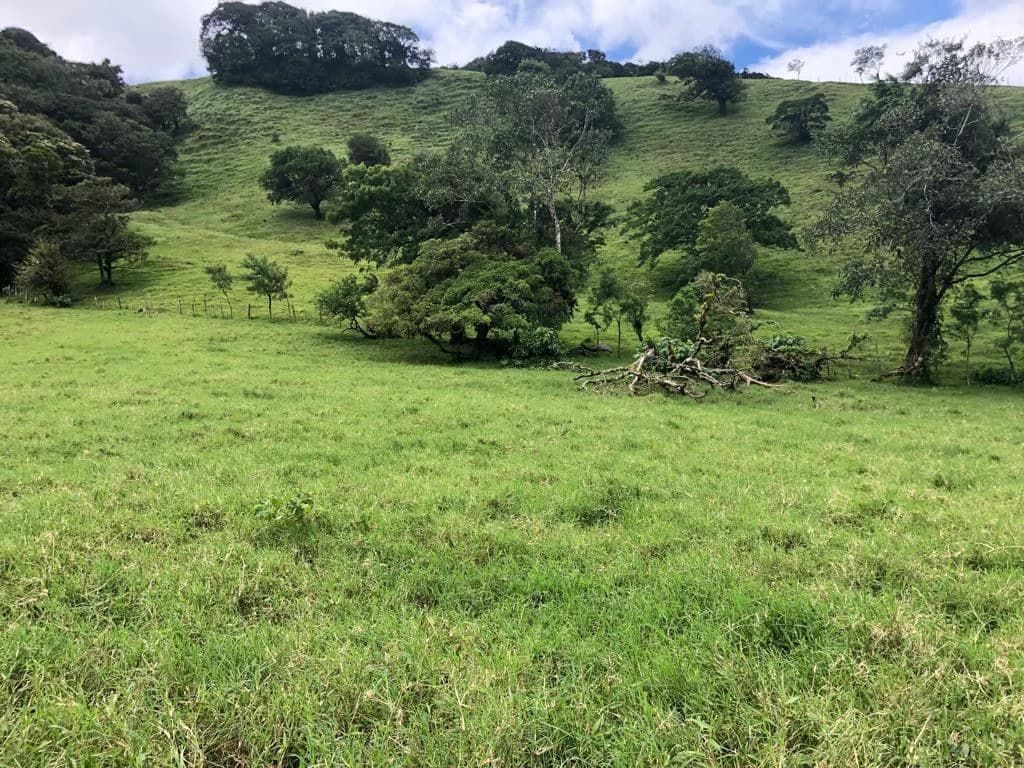 Beautiful property with lake view - Arenal - photo 6