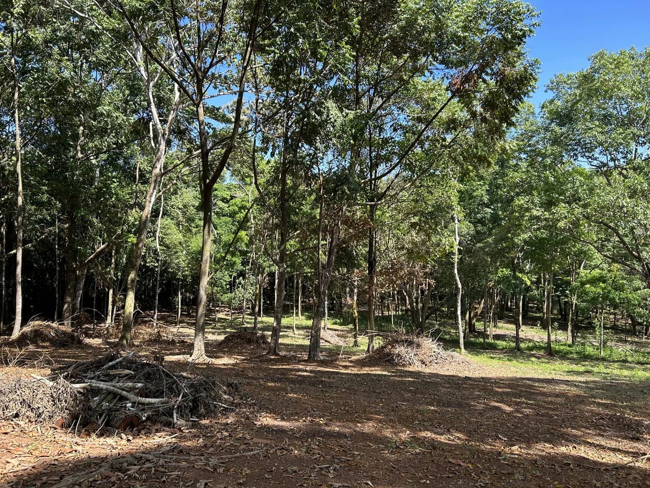 Cabo Matapalo: 3.8 Acre Ocean View Lot In Peninsula De Osa, Golfo Dulce - photo 10