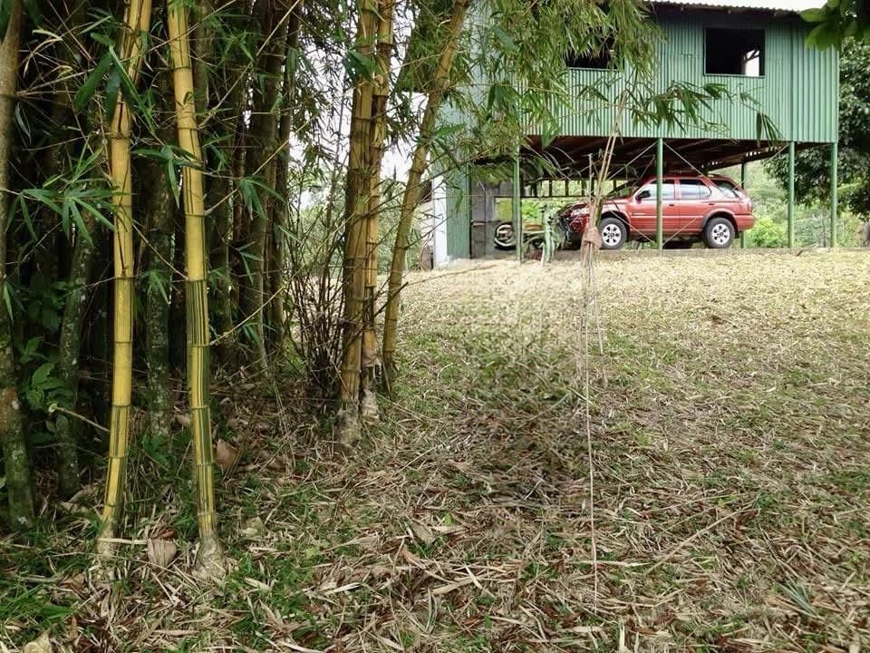 Spectacular 72.44 acres: Costa Rica Nature Estate | Private Waterfall, River, Home & Spectacular Views | Near La Fortuna - photo 11