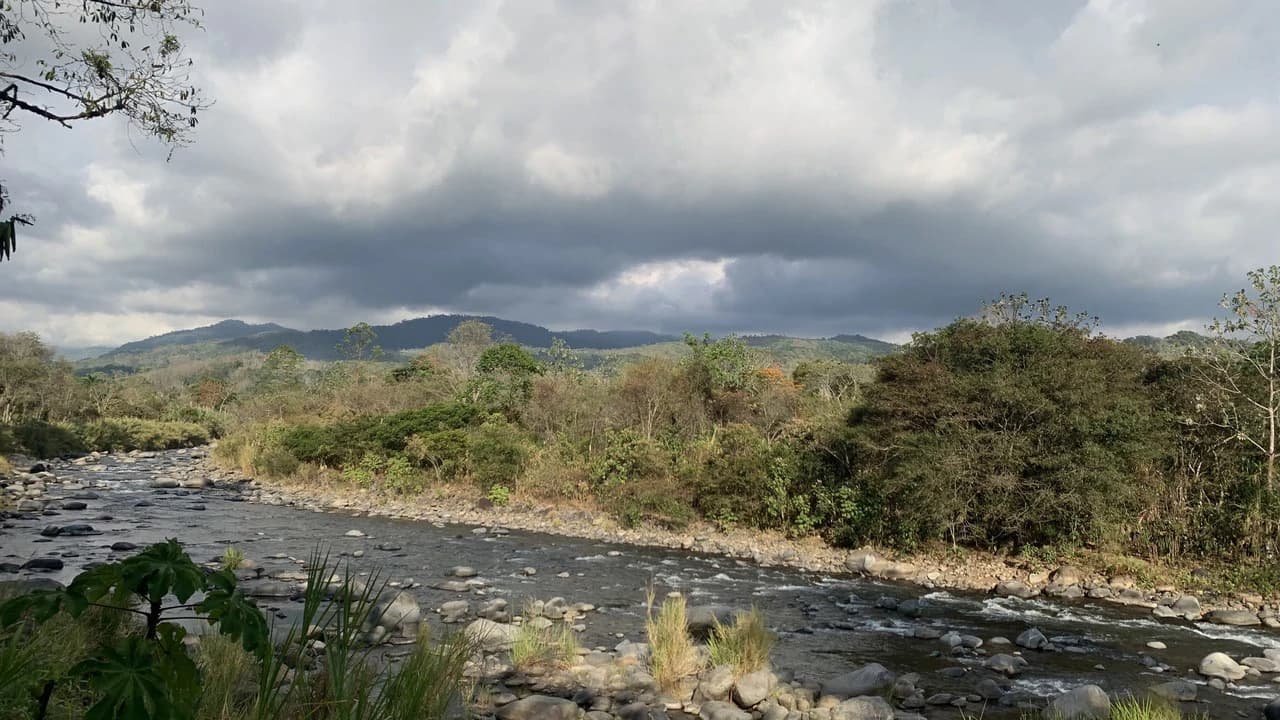 Talari Hotel: Nature and Bird Lover's Paradise - Mountain Lodge - photo 4