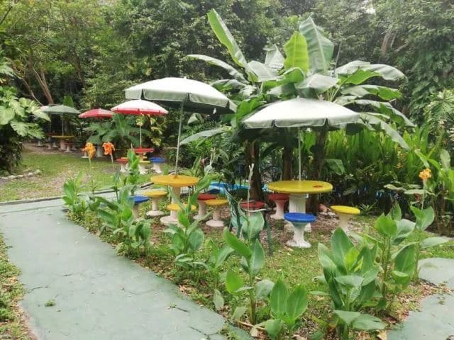 Hotspring Resort for sale in Salitral, Cold and Warm spring swimming pools surrounded by teak and eucalyptus rustic cabins - photo 10
