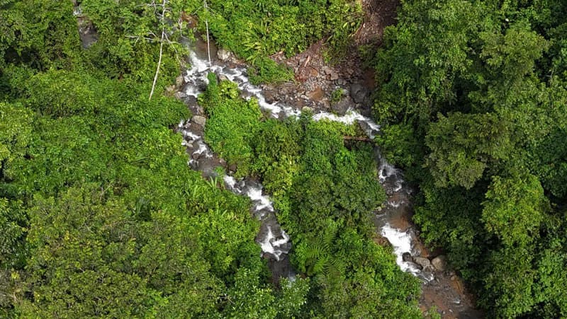 Waterfall Estate, Dos Bocas, Dominical Featuring Twin Waterfalls, Springs, Creeks & Rivers - photo 42