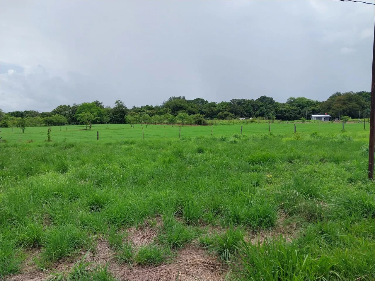 T-182: Volcano view and lot for Sale in Liberia - photo 2
