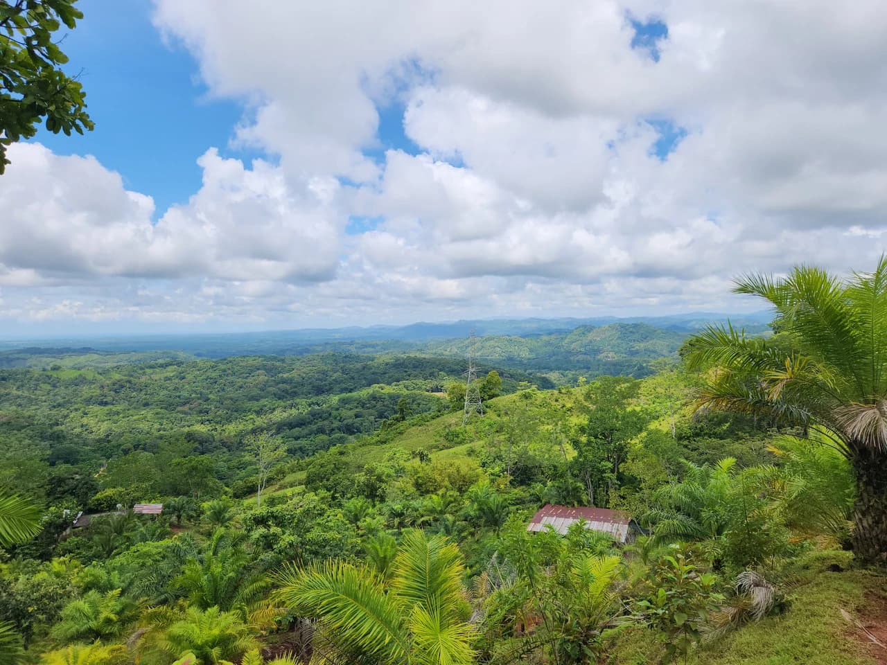 PRIME PARRITA FARM FOR SALE - photo 19