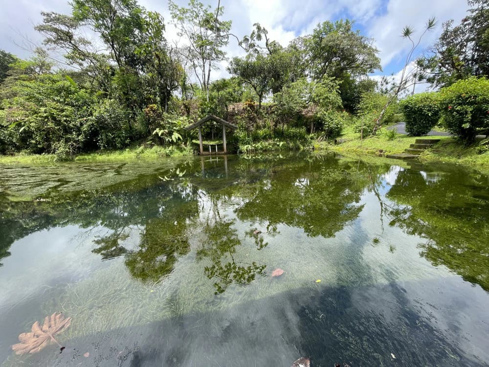 Nuevo arenal: Looking for a Property to Develop Family Residences with Lake Views?
