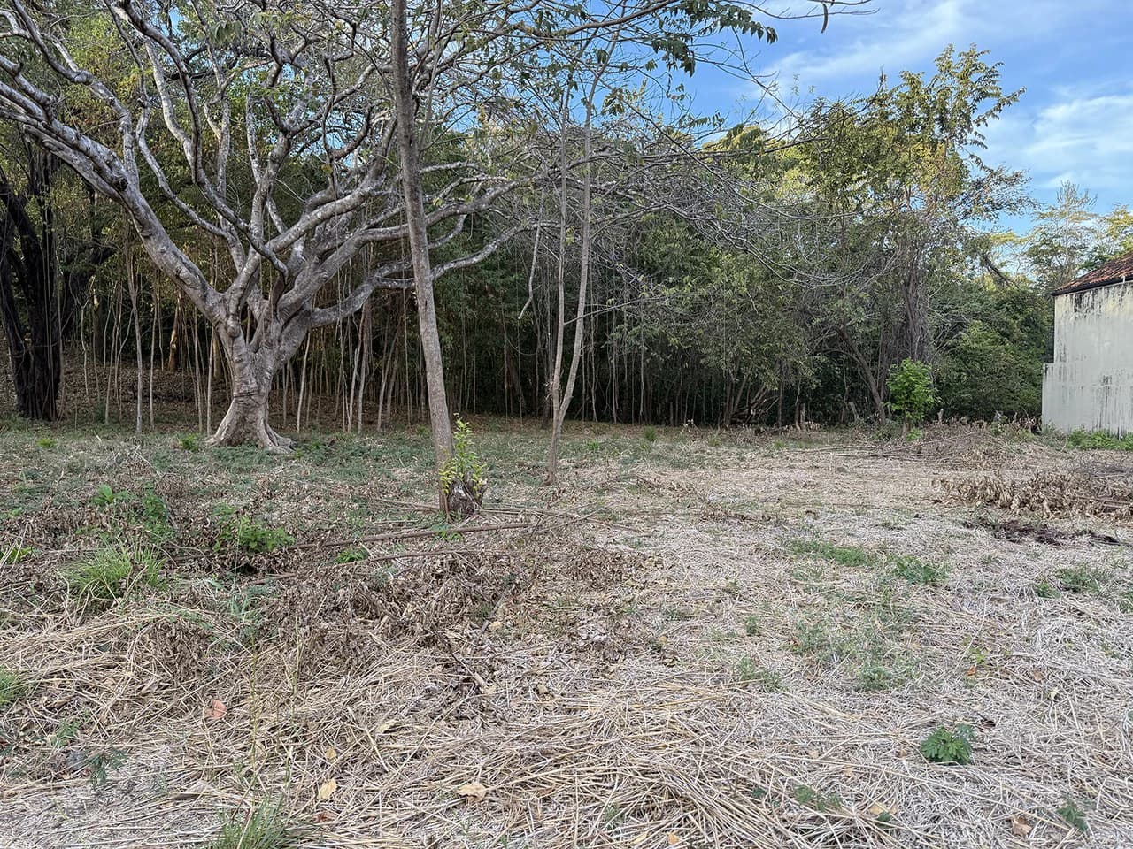 PGE Lot D3: a short distance away from the soothing sounds and sights of the sea
