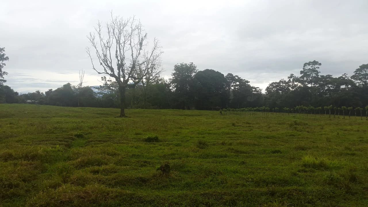 Countryside Development Parcel For Sale in Cariari - photo 24