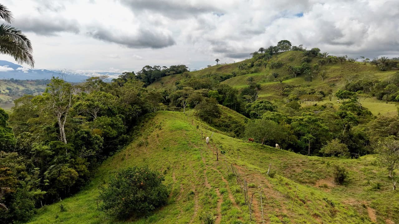 Countryside Home Construction Site For Sale in Centro de Pérez Zeledón - photo 18
