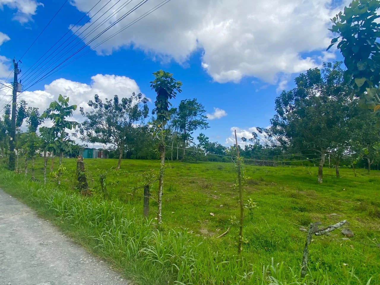 Mountain Home Construction Site For Sale in La Fortuna - photo 2