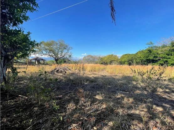 For Sale: This beautiful flat lot in La Ceiba of Orotina - photo 11