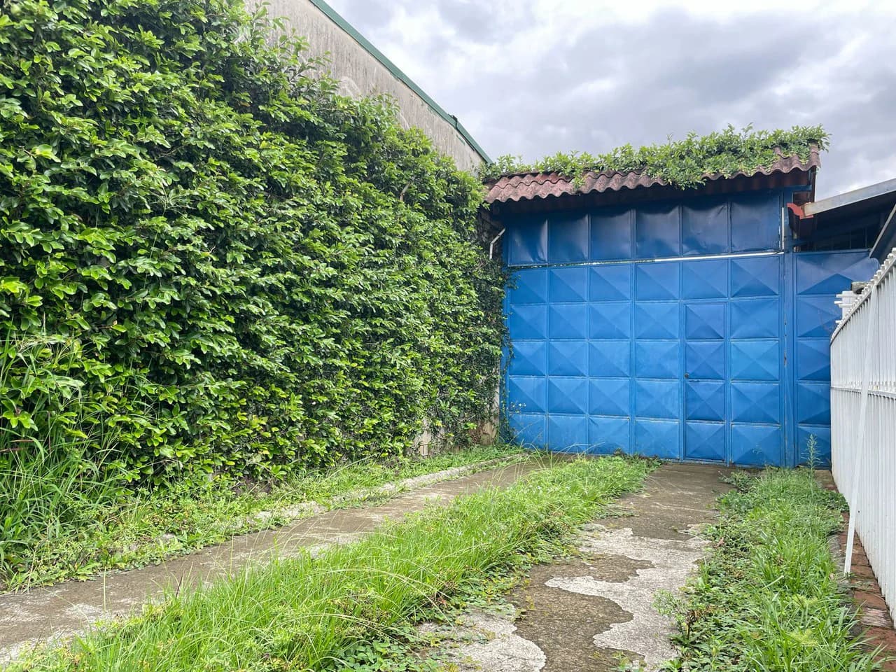 Warehouse and Mixed-Use Property for Sale in Desamparados: Warehouse For Sale in Desamparados - photo 4