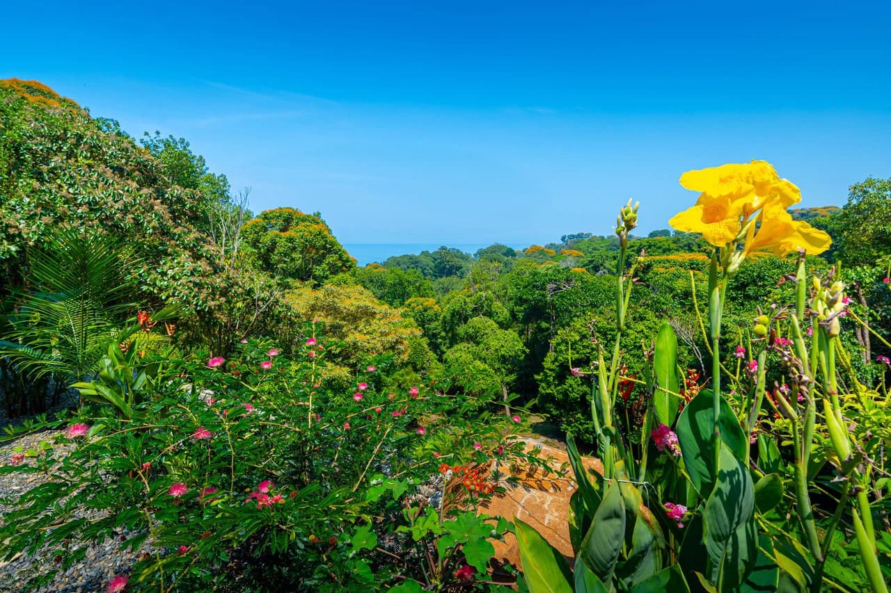 Mountain House For Sale in Escaleras - photo 90