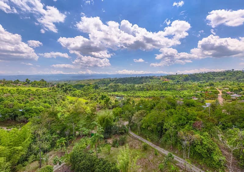 Casa San Pedrito: Beautiful house for sale in San Pedrito,(1,3hect) Perez Zeledon - photo 2