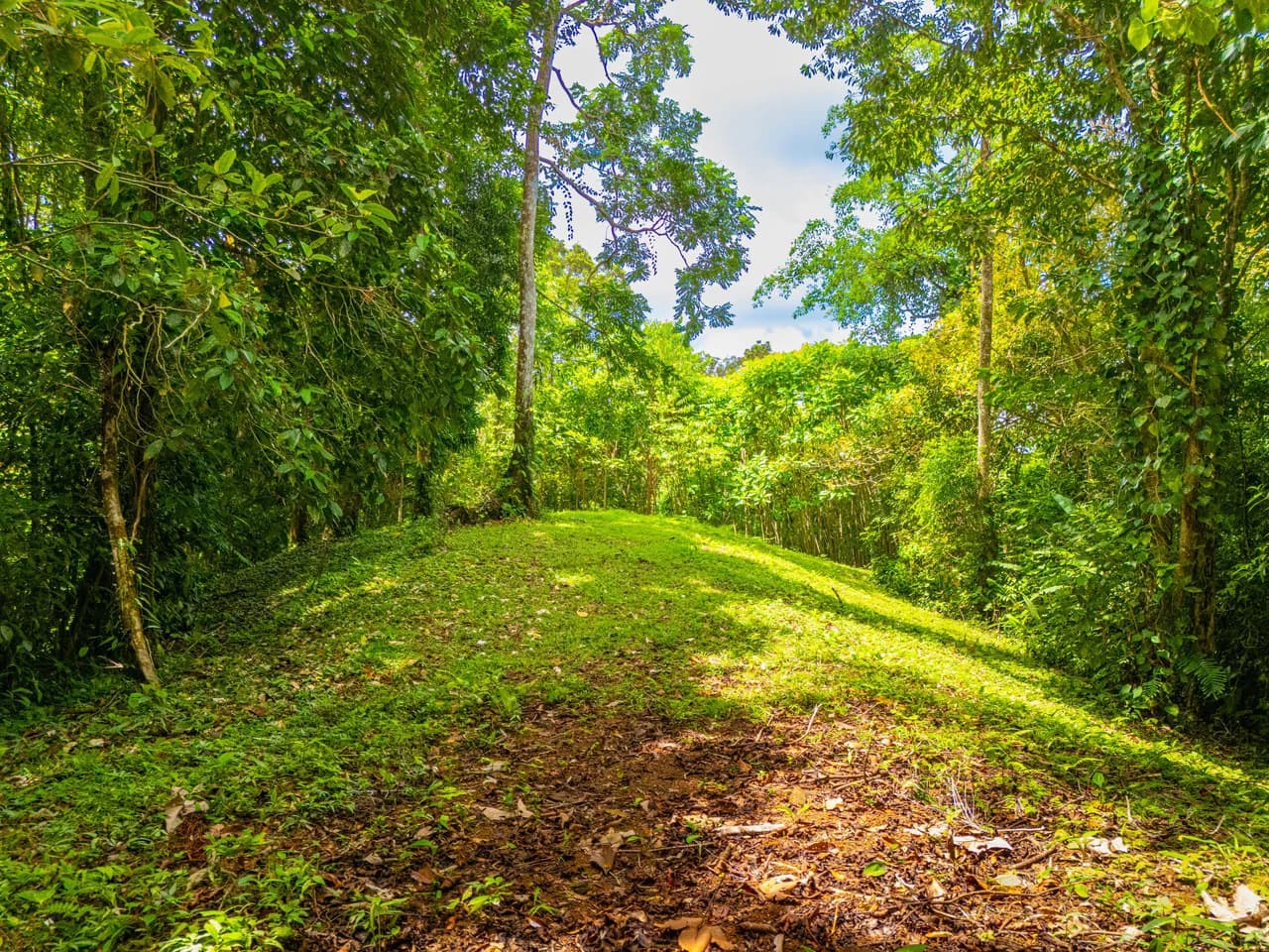 Tropical Paradise in Cascada Sándalo, Tres Ríos Ocean & Mountain Views | Gated Community | Abundant Nature - photo 12