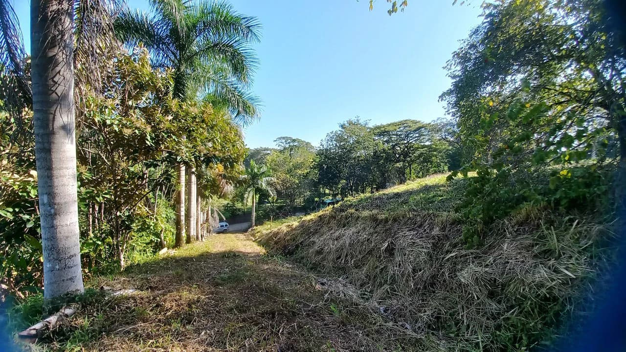 Front Row Mixed Use Property with an Easy Walk to Dominicalito Beach - photo 9
