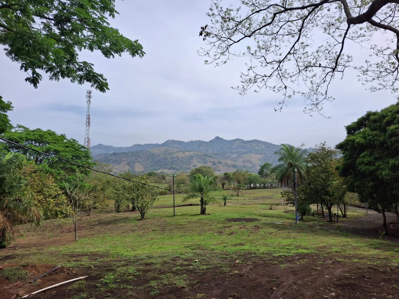 Finca Nature: Beautiful Private Finca near Atenas! - photo 4