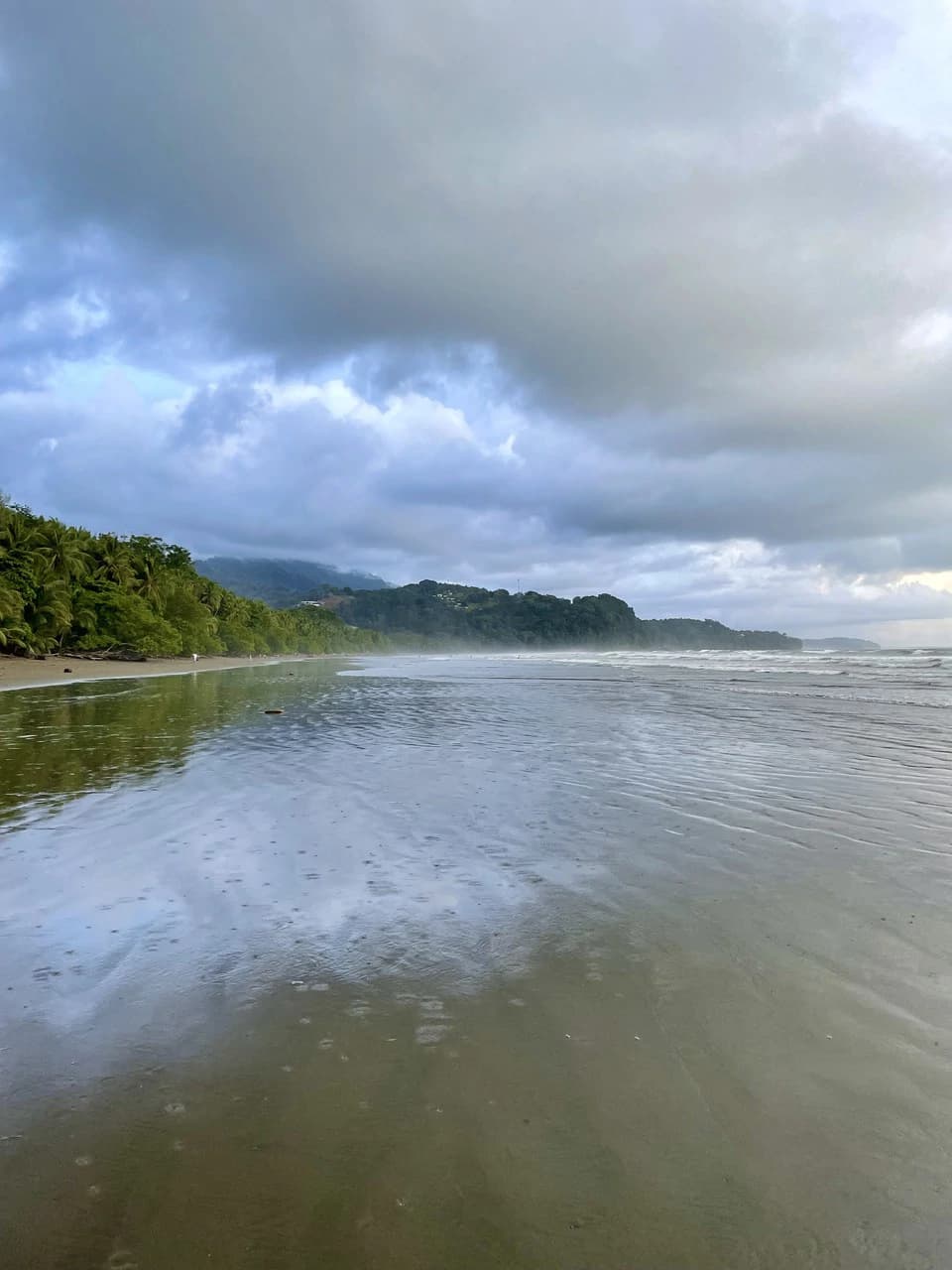 TROPICAL MASTERPIECE – 61.78 ACRES OF OCEANVIEW BLISS WITH WATERFALL: Mountain Development Parcel For Sale in Tres Rios - photo 27
