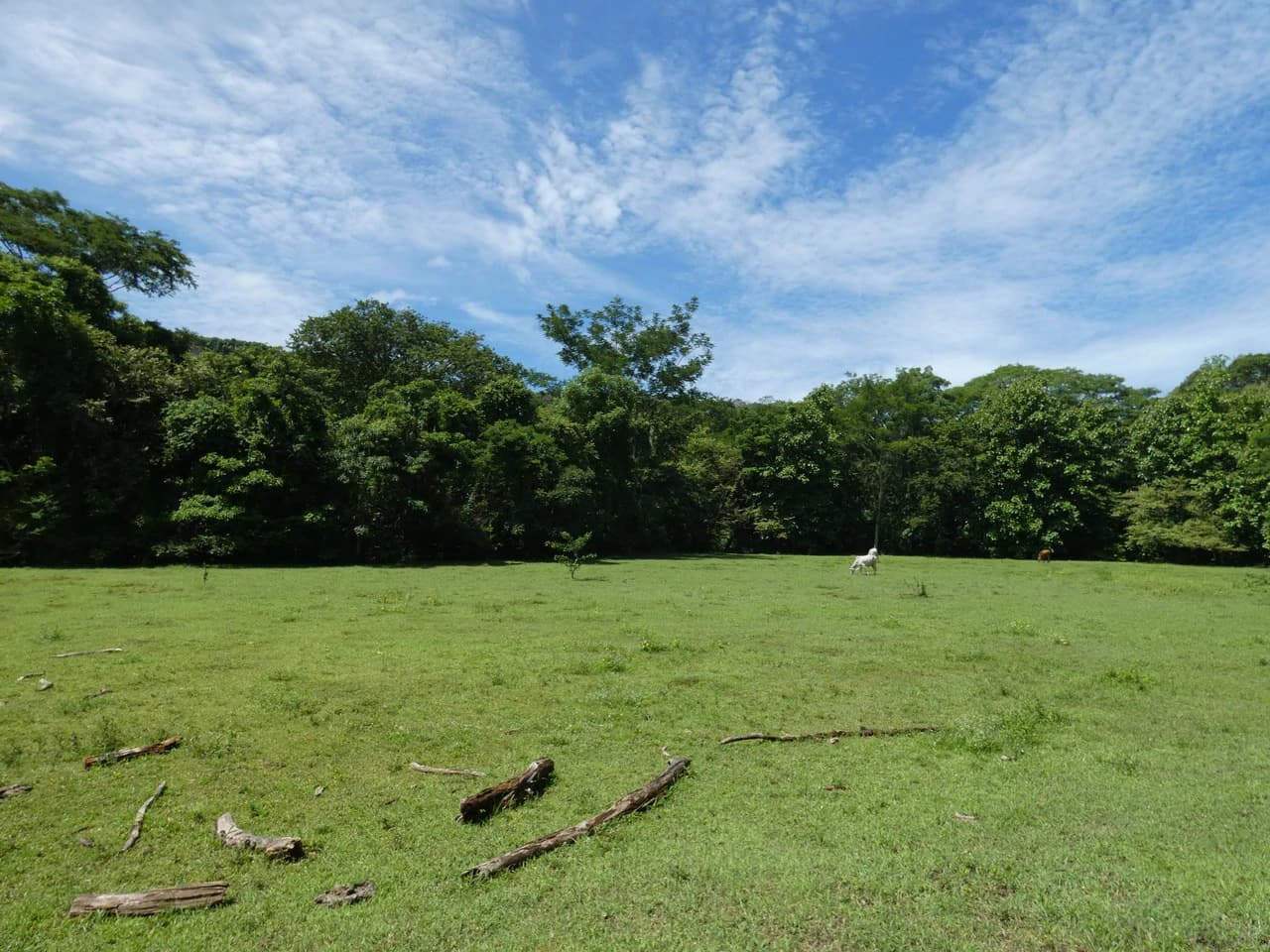 Samara beach property project with own natural reserve and ocean views - photo 18