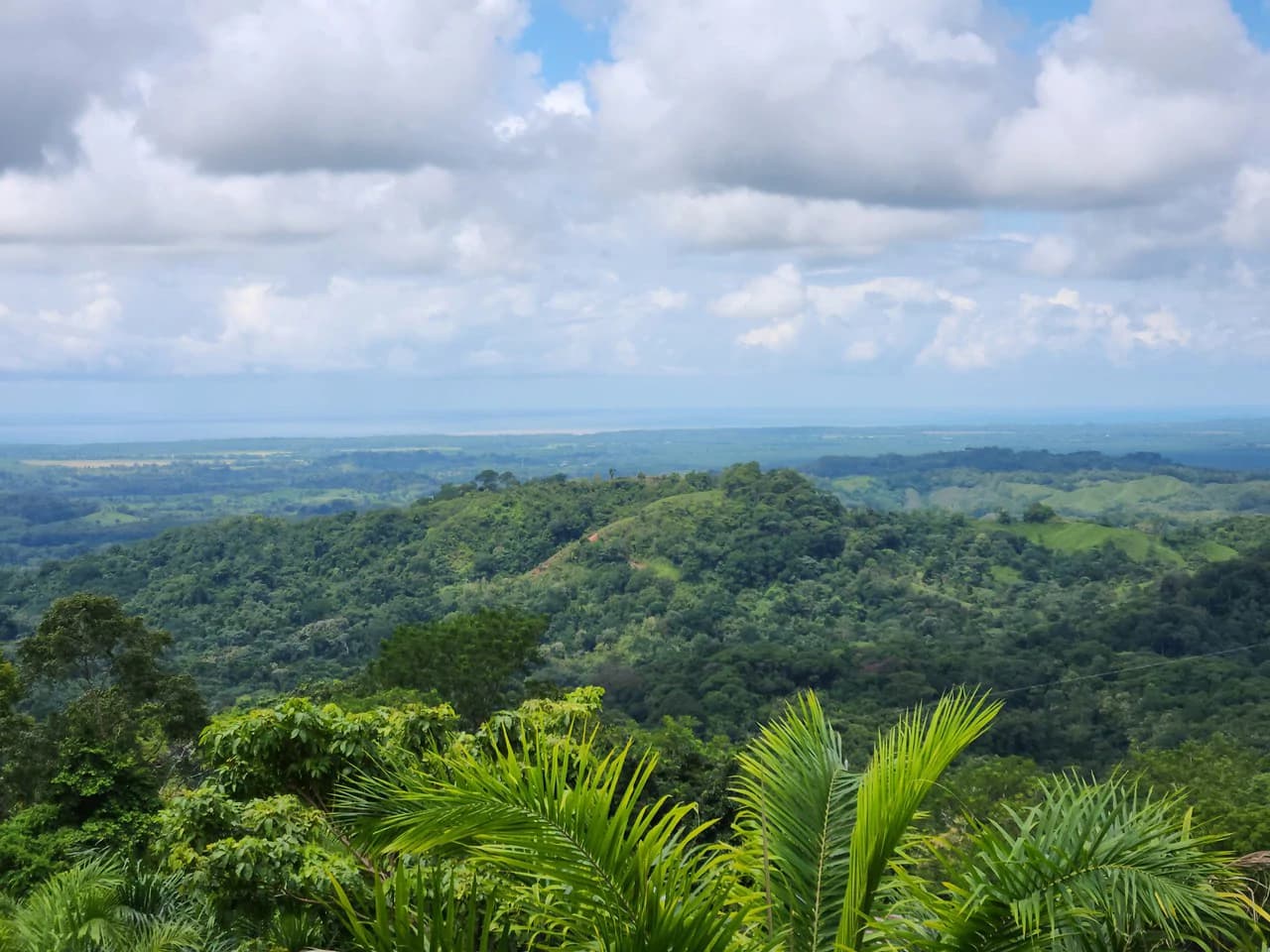 PRIME PARRITA FARM FOR SALE - photo 10