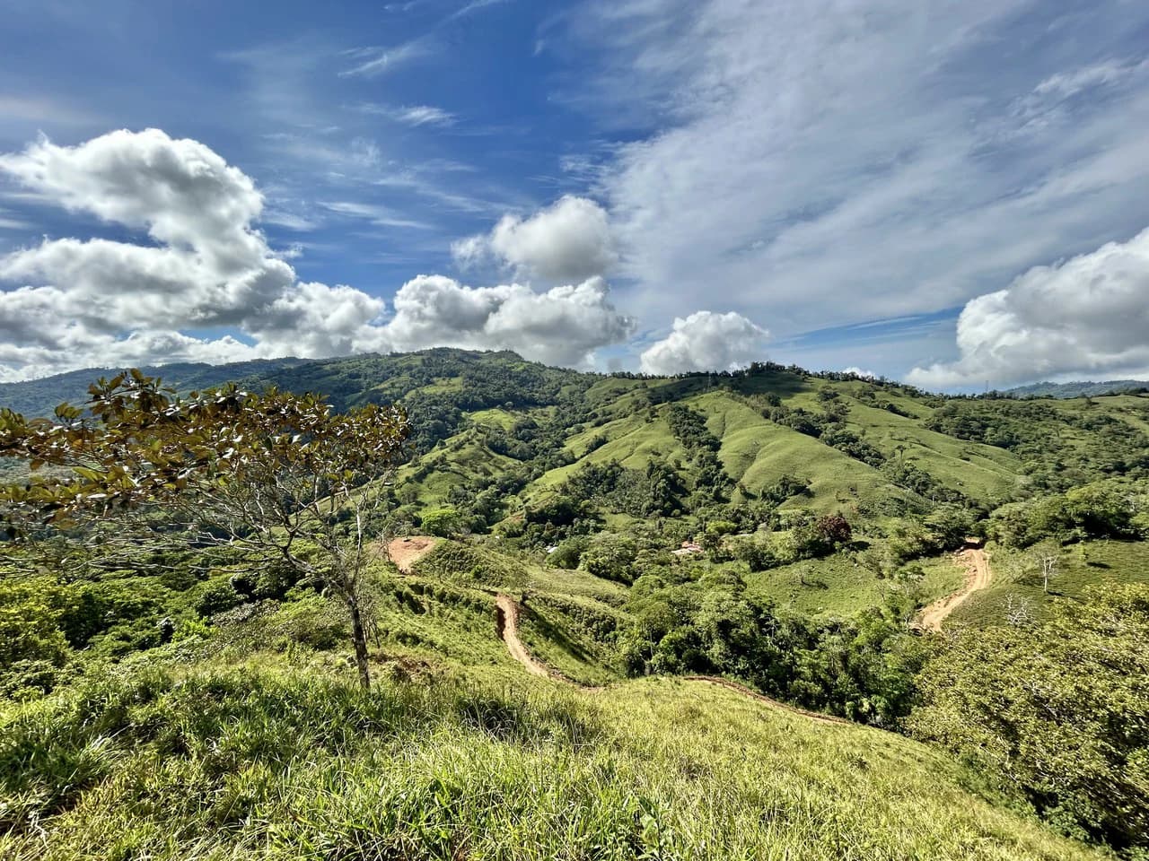 Finca Ceibo Memo: Mountain Home Construction Site For Sale in San Isidro del General - photo 31