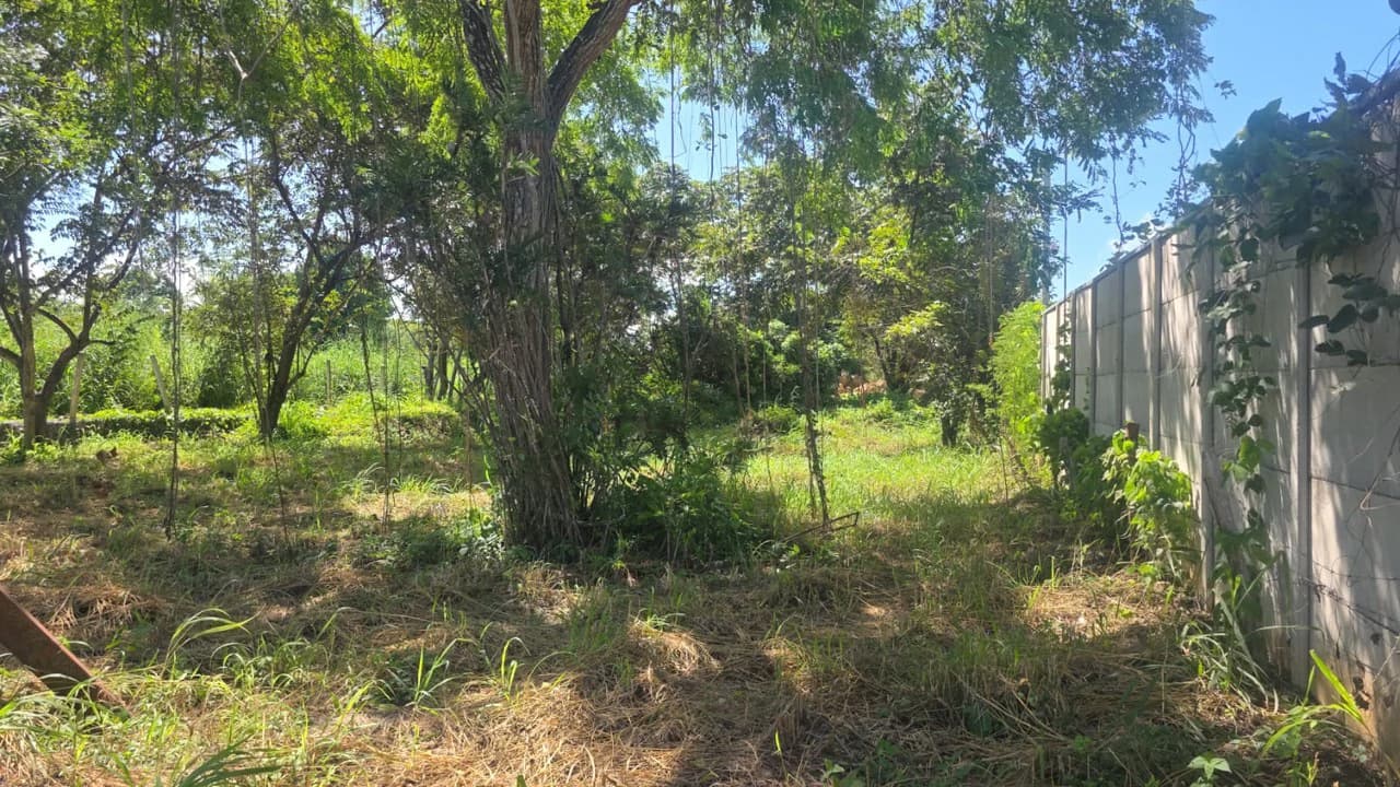 Commercial Airport property for sale with public road frontage on route #21, close to Liberia International Airport