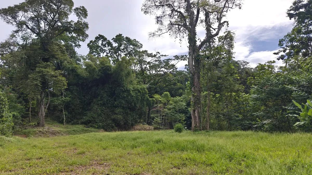 ID 345: 6,763m² Ocean View Development Land for Sale in Puerto Viejo - photo 5
