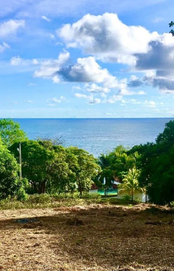 Oceanview property with a possible building project of 10 apartments for sale in Playa Carrillo - photo 8