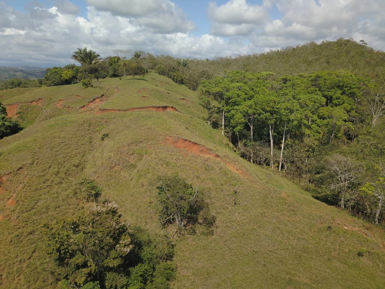 Finca Guapinol de Parrita: Near the Coast, Mountain and Countryside Agricultural Land For Sale in Parrita - photo 9