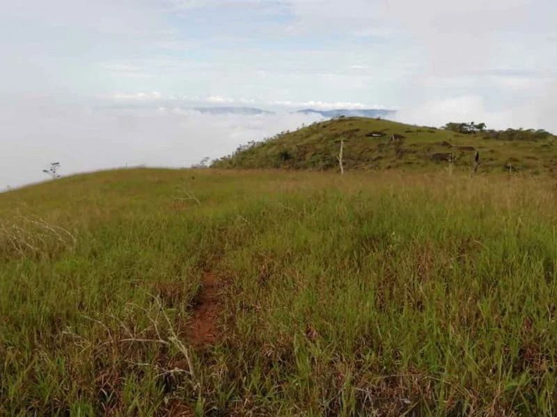 Amazing Self-sufficient 315 Acre Farm - photo 9