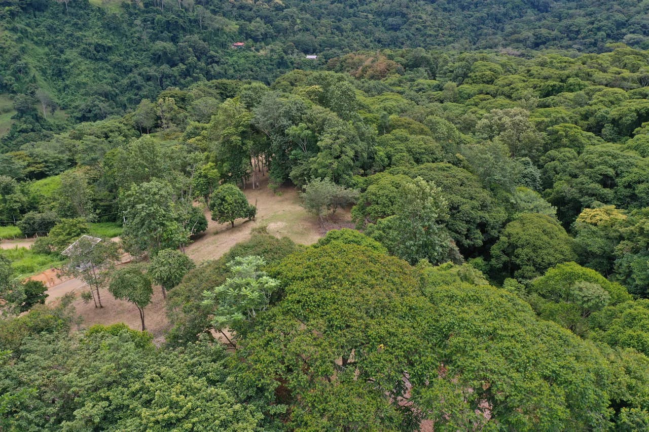Diamante Waterfall View Land in Dominical 2.9 Acres - photo 34