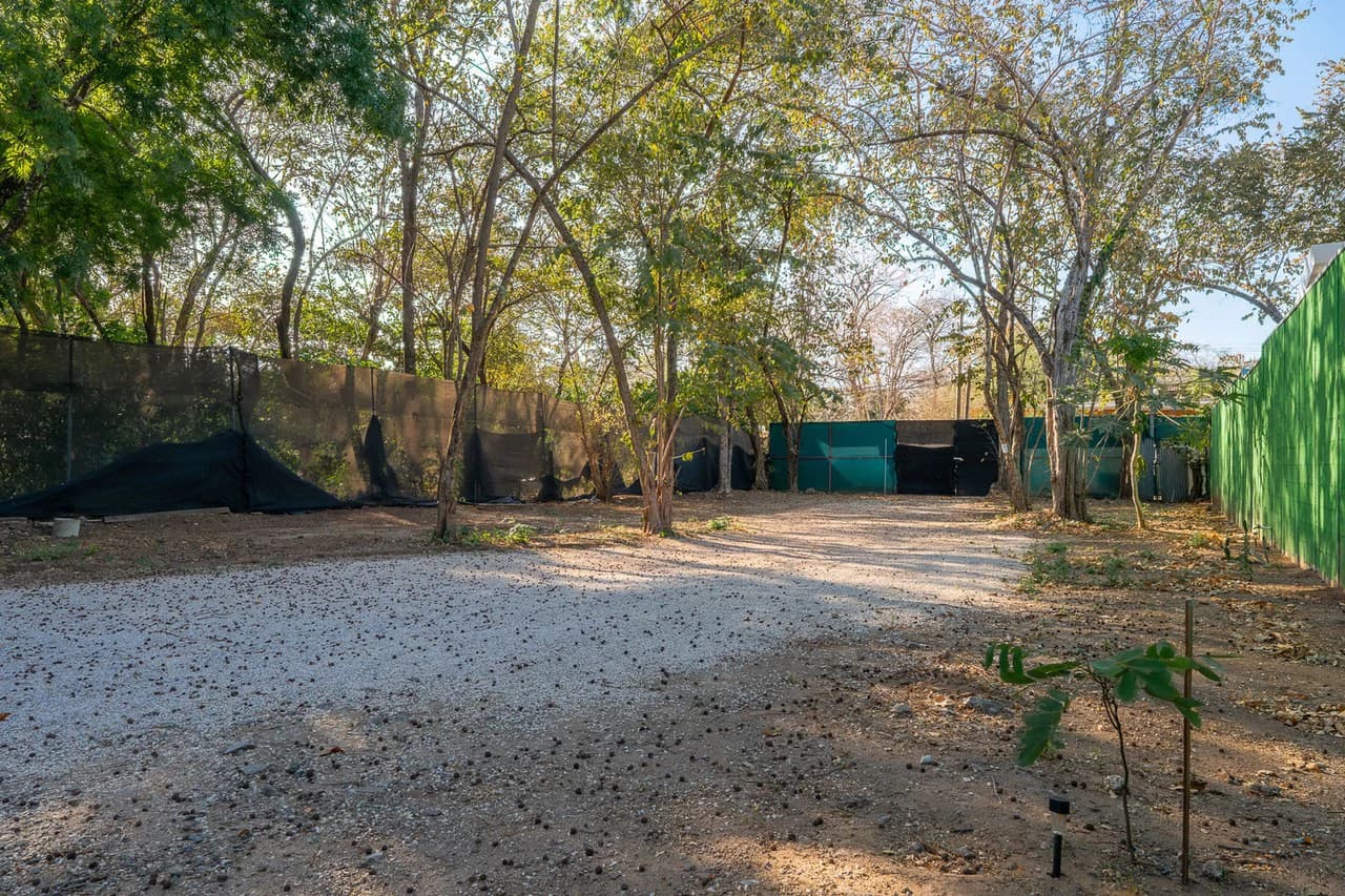 Casa Tranquila: Exceptional Value for a Prime Beachside Location - photo 2