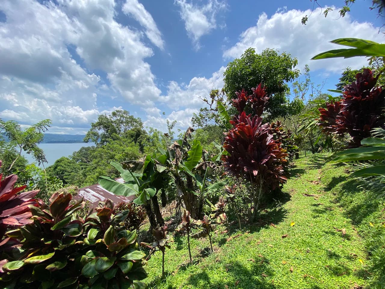 Beautiful Property with 4 cabins in El Castillo with gorgeous Lake View..!! - photo 25