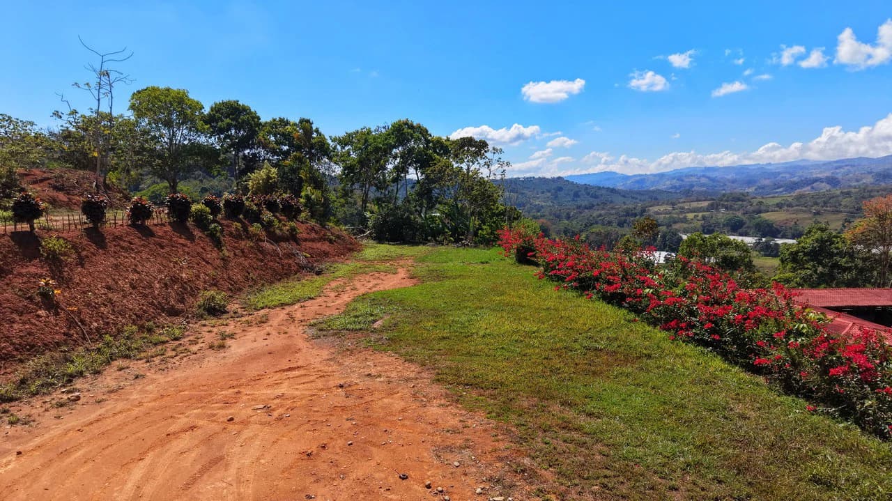 Agricultural Land For Sale in Daniel Flores - photo 21