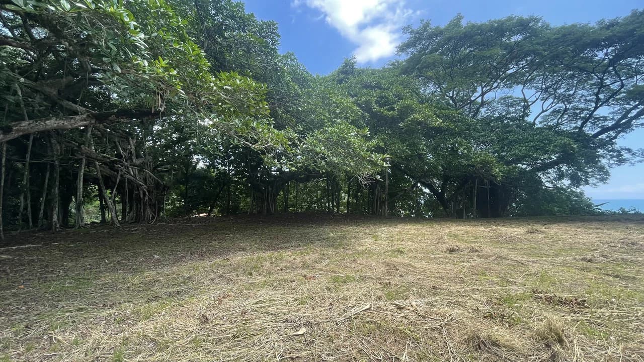 Lote playa Pita Puntarenas: Your Opportunity on Costa Rica’s Central Pacific Coast - photo 3