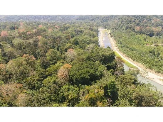 Finca Nanabri: Farm and Ecotourism Land for Sale in Penshurst - photo 2