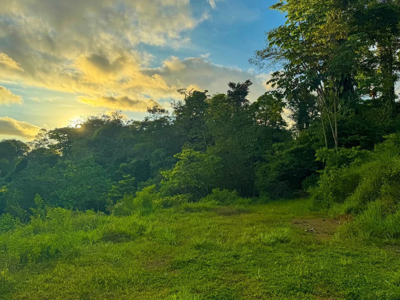 Build Your Vision in Uvita – 15.9 Ocean View Acres with Easy Access + Utilities Ready! - photo 10