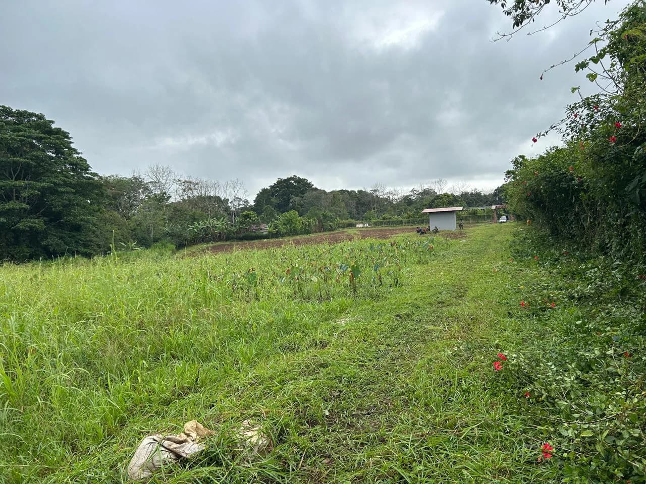 $8 Dollars per meter: Countryside Development Parcel For Sale in Los Angeles - photo 5
