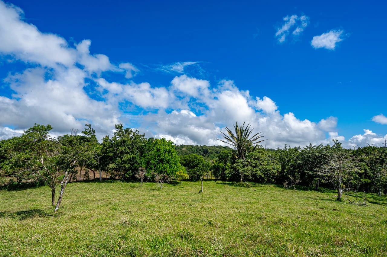 LA CABAÑA - 13+ ACRES & a TINY HOUSE & outstanding VIEWS - REDUCED PRICE - SELLER MOTIVATED - photo 41