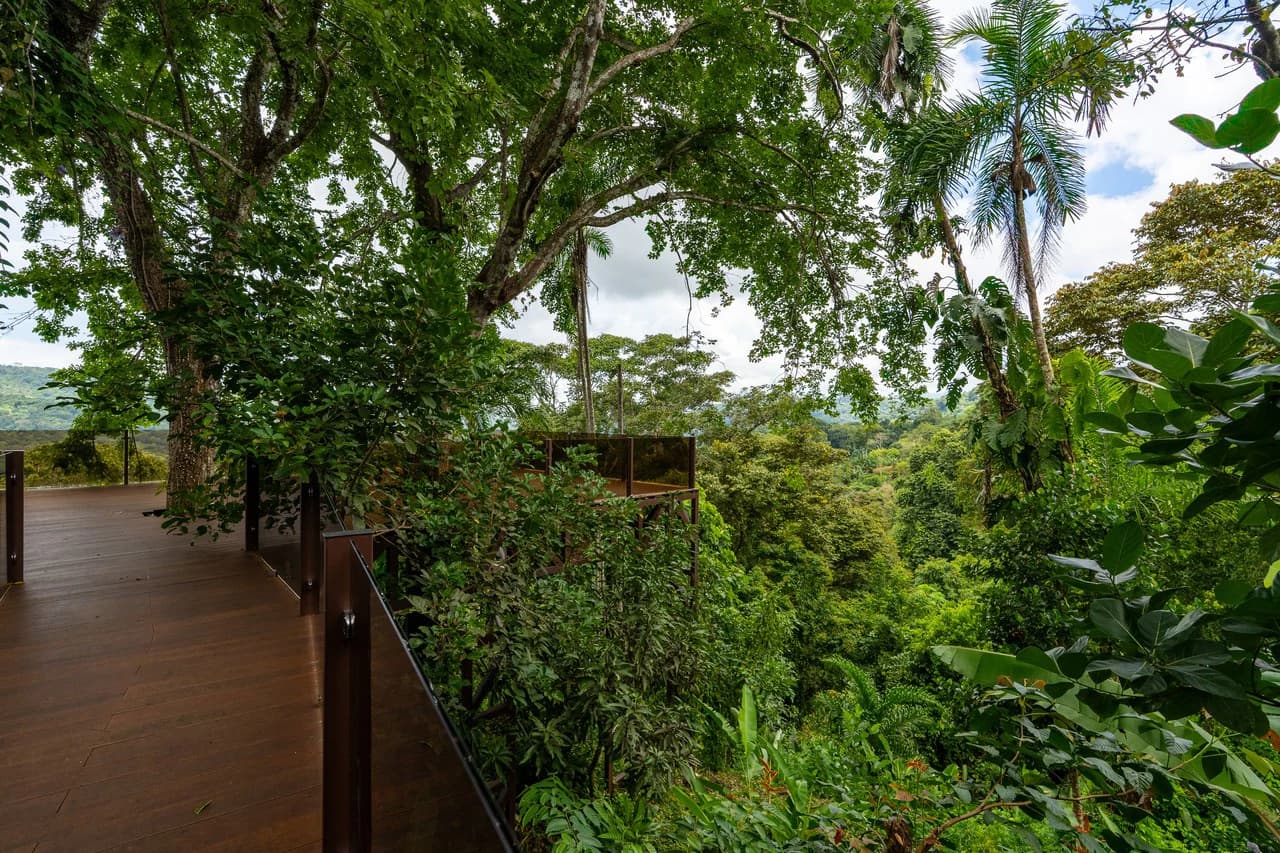 Prime Location 2 Bedroom House Observation Deck - photo 4